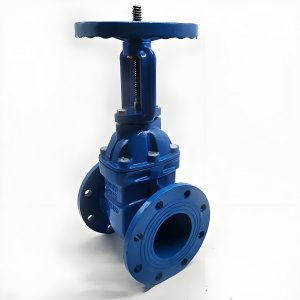 手動閘閥Z41T-16 DN50/DN65廠家直銷，上海發